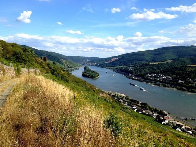 GRÜNE aus der Region zur Rheinquerung: Erst analysieren, dann entscheiden